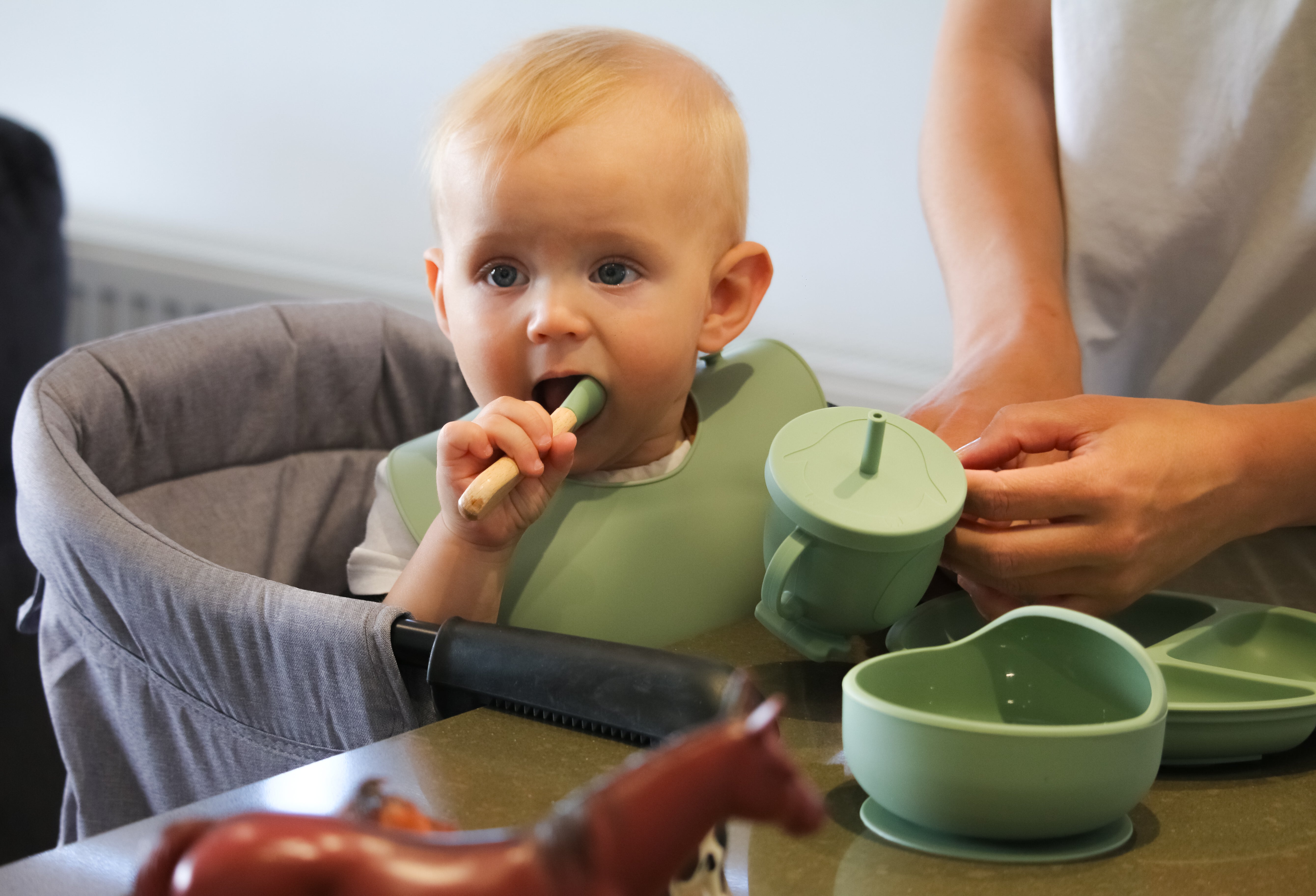 Silicone Baby Feeding Essentials Set